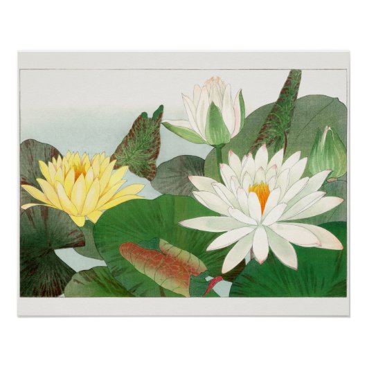 Nymphaea lotus, Japanse houtsnede, 1917 Perfect Poster (Voorkant)
