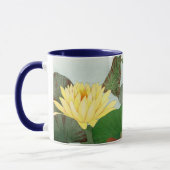 Nymphaea lotus mok (Links)