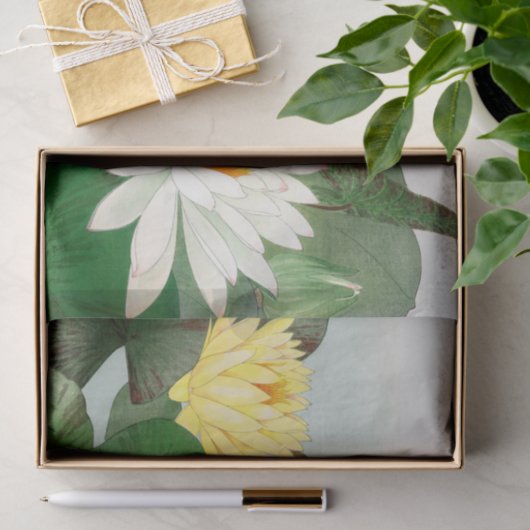Nymphaea lotus , ontkoppeling tissuepapier (Geschenk)