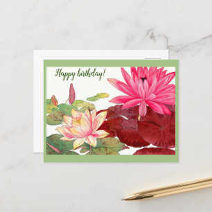 Nymphaea lotus, roze en witte waterlelies briefkaart