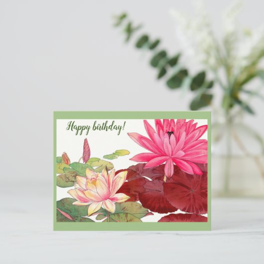 Nymphaea lotus, roze en witte waterlelies briefkaart (Staand voorkant)