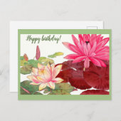 Nymphaea lotus, roze en witte waterlelies briefkaart (Voorkant / Achterkant)