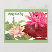 Nymphaea lotus, roze en witte waterlelies briefkaart (Voorkant)