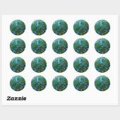 Nympheas Ronde Sticker (Vel)