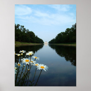 Nymphenburg Flowers Poster