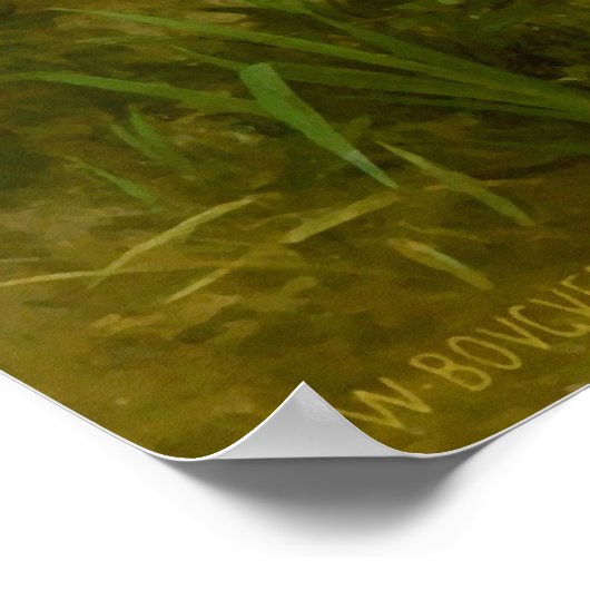 Nymphs en Satyr van William Adolphe Bouguereau Poster (Hoek)