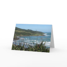 NZ SCHILDERACHTIG WENSKAART