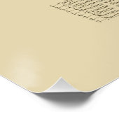 NZ Shells Poster (Hoek)