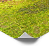 NZ-stoomtrainen Moderne verf op een Poster (Hoek)