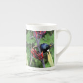 NZ Tui Porselein Kop (Rechts)