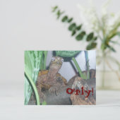 o&apos; rly, O'rly! Briefkaart (Staand voorkant)