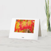 O CANADA KAART (Achterkant)