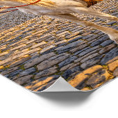 "O, Dame!" Poster (Hoek)