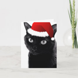 O de Kaart van de Kat van de Kerstboom