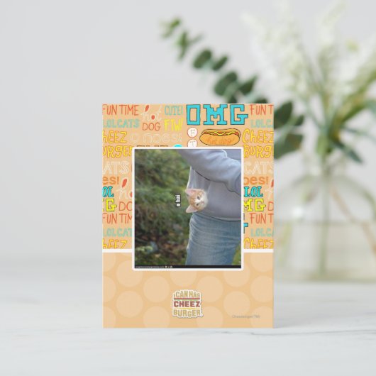 O hai briefkaart (Staand voorkant)