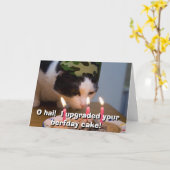 O hai! Ik bevorderde uw berfday cake Kaart (Gele Bloem)