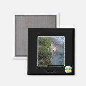 O hai magneet (Voorkant / Achterkant)