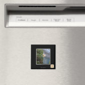 O hai magneet (Insitu (Vaatwasser))