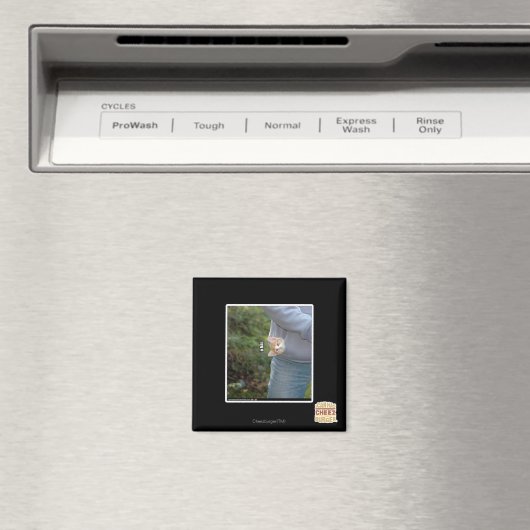 O hai magneet (Insitu (Vaatwasser))