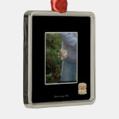 O hai metalen ornament (Rechts)