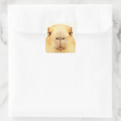 O Hallo Daar Capybara Vierkante Sticker (Tas)