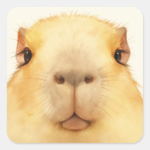 O Hallo Daar Capybara Vierkante Sticker