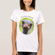 O is voor Ostrich Close-up Flightless Bird Alphabe