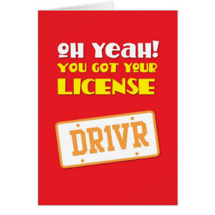 O ja! Je hebt je rijbewijs! DR.1VR