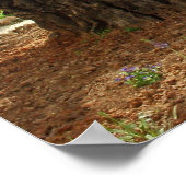 O jardim do Getsêmani em Jerusalem, a Cidade Santa Poster (Hoek)