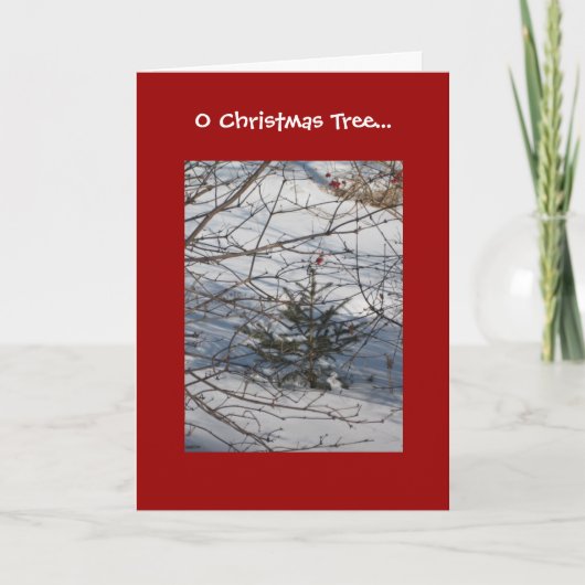 O kerstboom feestdagen kaart (Voorkant)