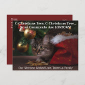 O kerstboomkat-feestfoto briefkaart (Voorkant / Achterkant)