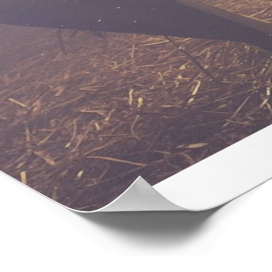 O, laten we hem bewonderen poster (Hoek)