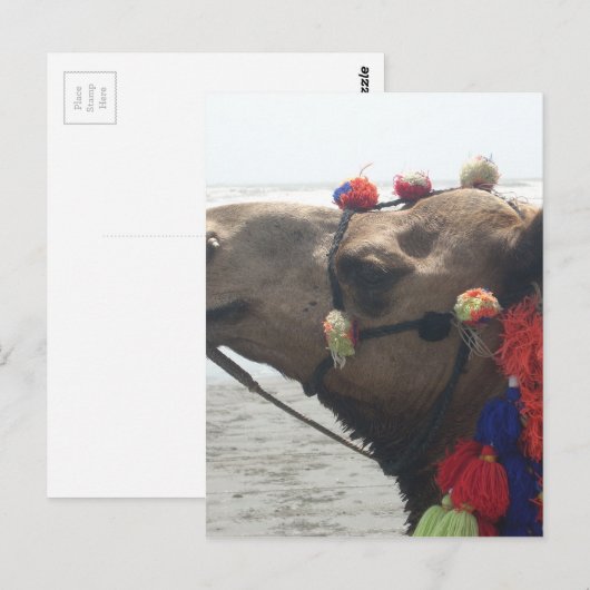 O man! Muscat Briefkaart (Voorkant / Achterkant)