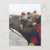 O man! Muscat Briefkaart (Voorkant)