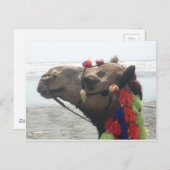 O man! Muscateldruif Briefkaart (Voorkant / Achterkant)