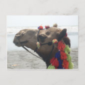 O man! Muscateldruif Briefkaart (Voorkant)