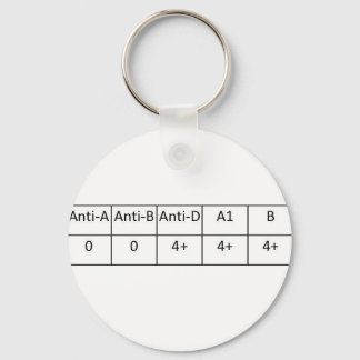 O positief sleutelhanger