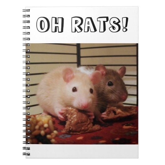O, ratten! notitieboek (Voorkant)