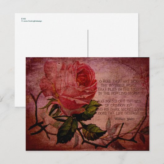 O Roos Thou Art Sick Briefkaart (Voorkant / Achterkant)