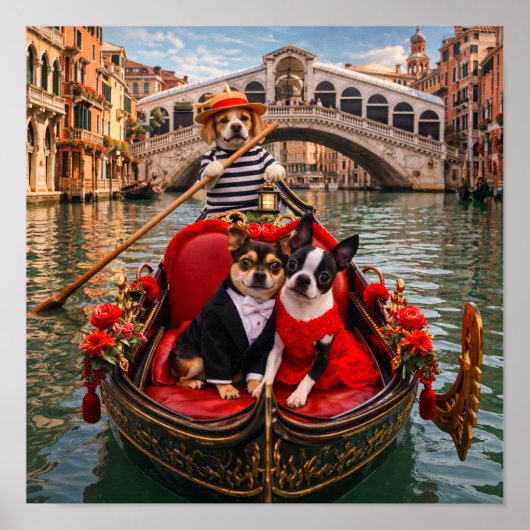 "O Solo Mio!" Poster (Voorkant)