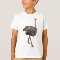 O staat voor Ostrich