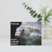 O-vis-bondgenoot het Beste Dank U Briefkaart (Staand voorkant)