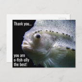O-vis-bondgenoot het Beste Dank U Briefkaart (Voorkant / Achterkant)