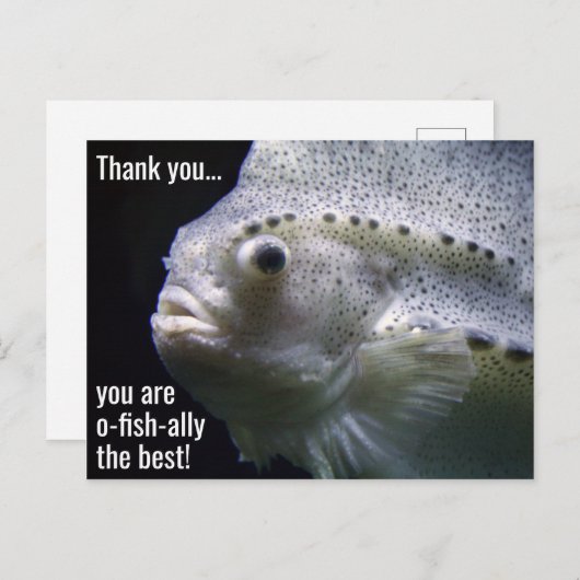 O-vis-bondgenoot het Beste Dank U Briefkaart (Voorkant / Achterkant)