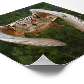 O Voo do Mocho Poster (Hoek)