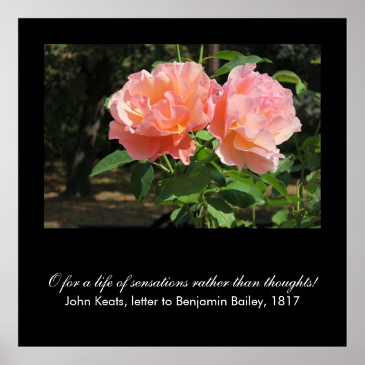 O voor een leven van sensaties . . . (John Keats) Poster (Voorkant)
