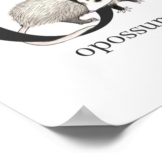 O voor Opossum Poster (Hoek)