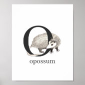 O voor Opossum Poster (Voorkant)