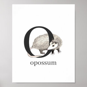 O voor Opossum Poster