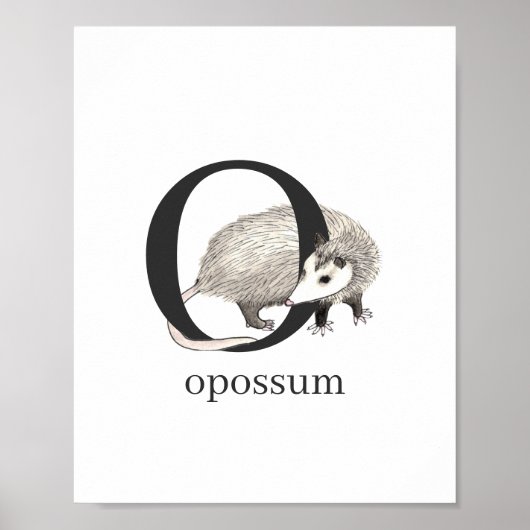 O voor Opossum Poster (Voorkant)
